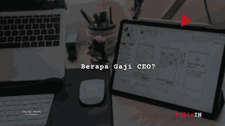 Berapa Gaji CEO?