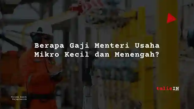 Berapa Gaji Menteri Usaha Mikro Kecil dan Menengah?