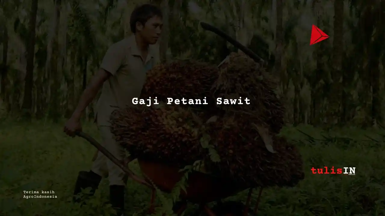 Berapa Gaji Petani Sawit?