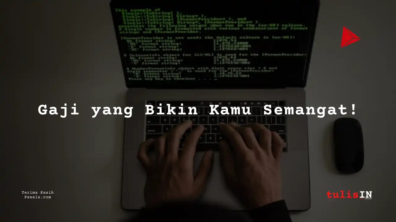 Berapa Gaji Programmer Asuransi Sinarmas?