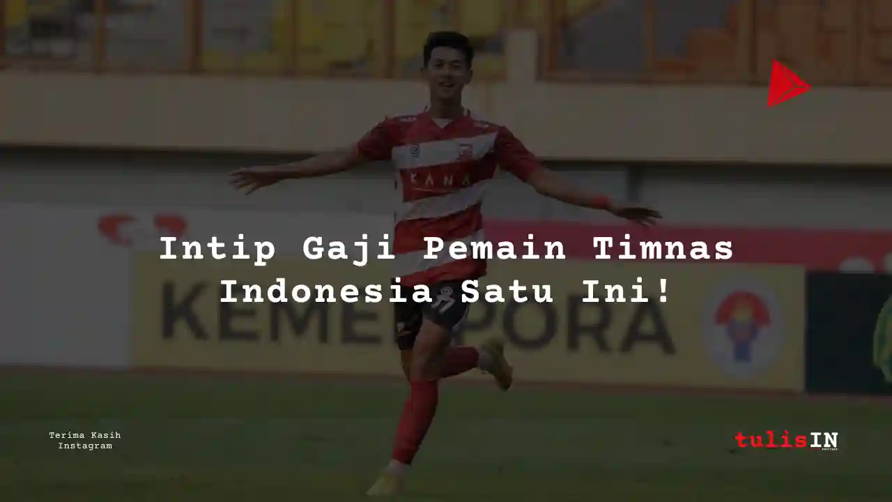 Berapa Gaji Malik Risaldi – Penyerang (Forward) Pemain Timnas Indonesia?