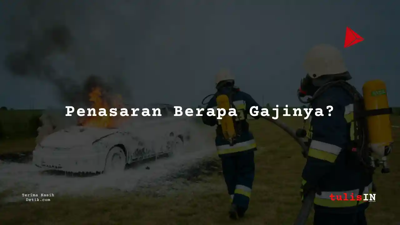 Berapa Gaji Golongan IIIb Pemadam Kebakaran 2024?