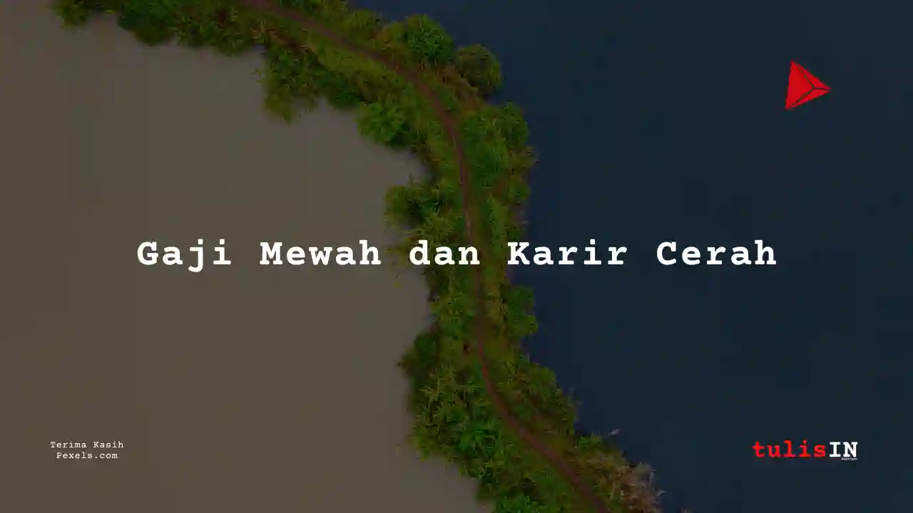 Berapa Gaji Bupati atau Wali Kota di Provinsi Papua Selatan?