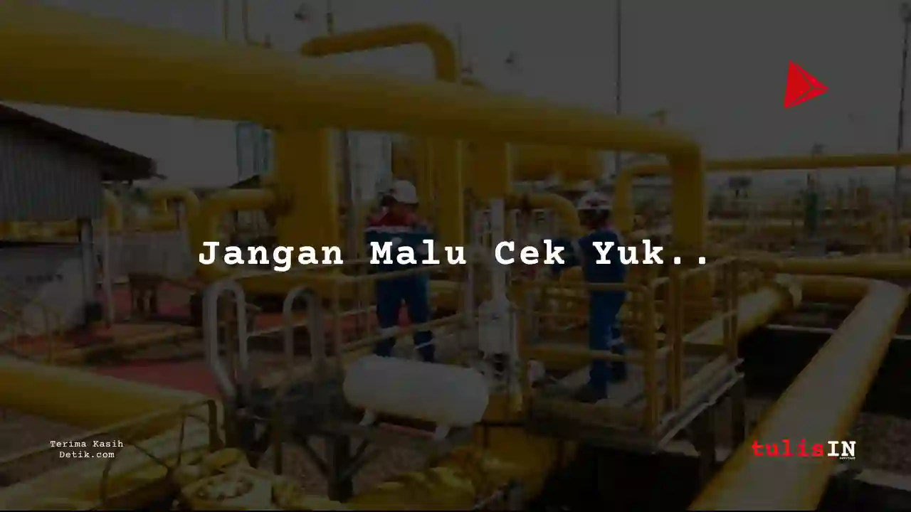 Berapa Gaji IT, Internet PT Pertamina Gas Negara (PGN) Tbk tahun 2025?