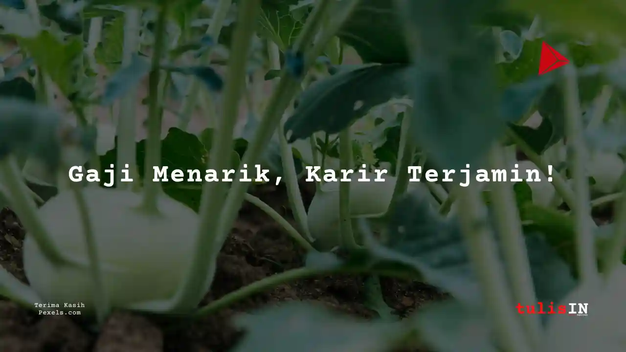 Berapa Gaji Staf Administrasi PTPN PT Perkebunan Nusantara III?