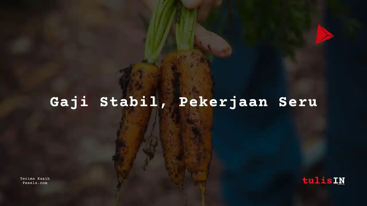 Berapa Gaji Staf Keuangan PTPN PT Perkebunan Nusantara III?