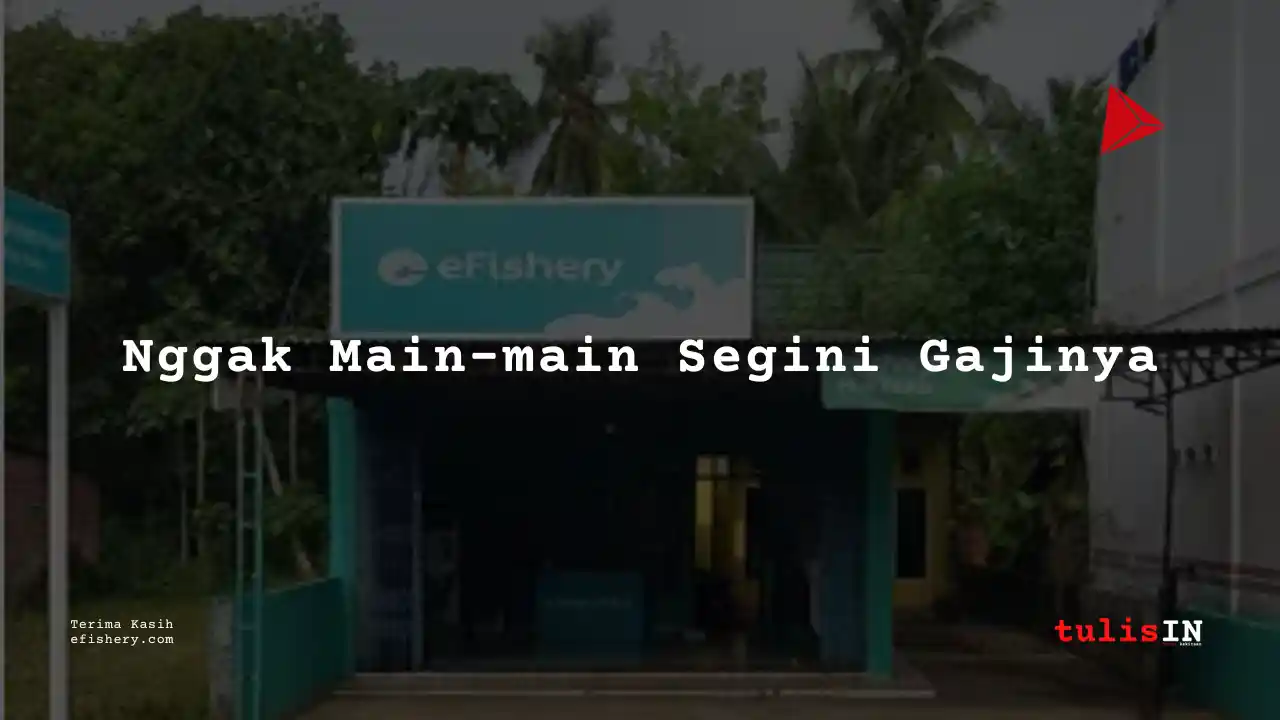 Berapa Gaji Pemimpin Kreatif eFishery?