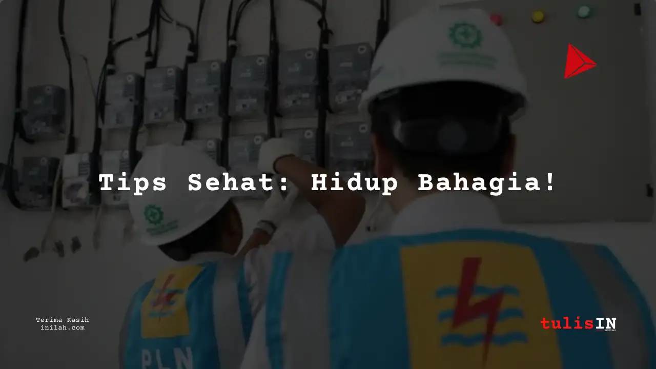 Berapa Gaji Commissioner Staff  Pegawai PLN?