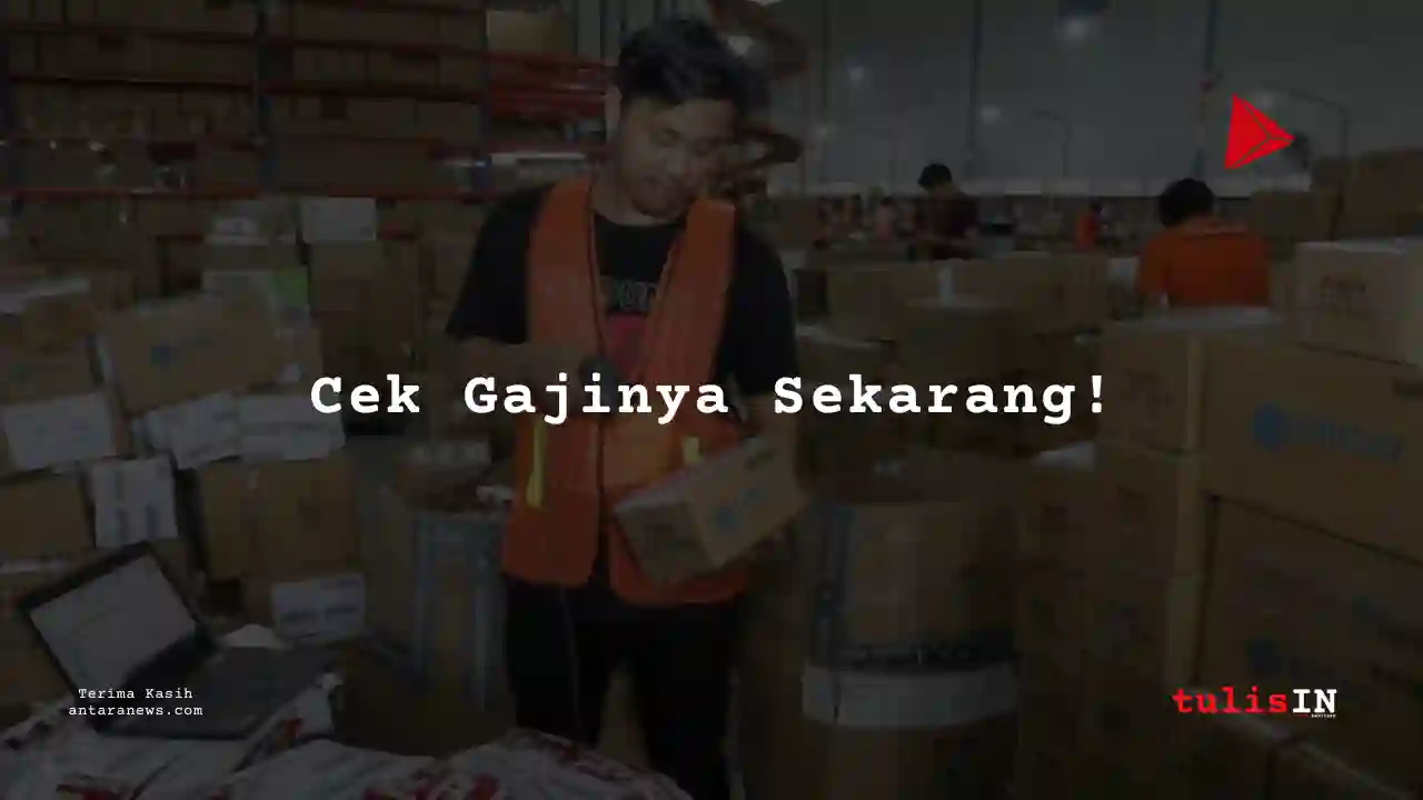 Berapa Gaji Junior Software Engineer Sirclo 2025?