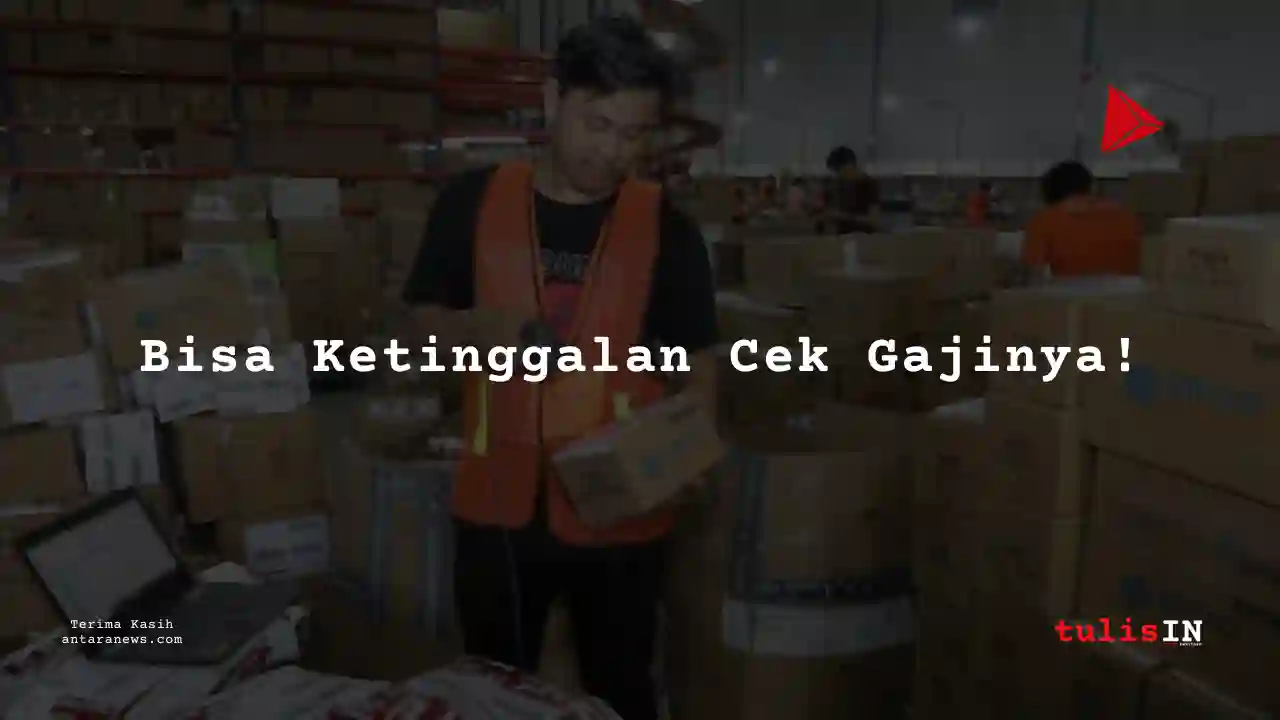 Berapa Gaji Software Engineer Intern Sirclo 2025?
