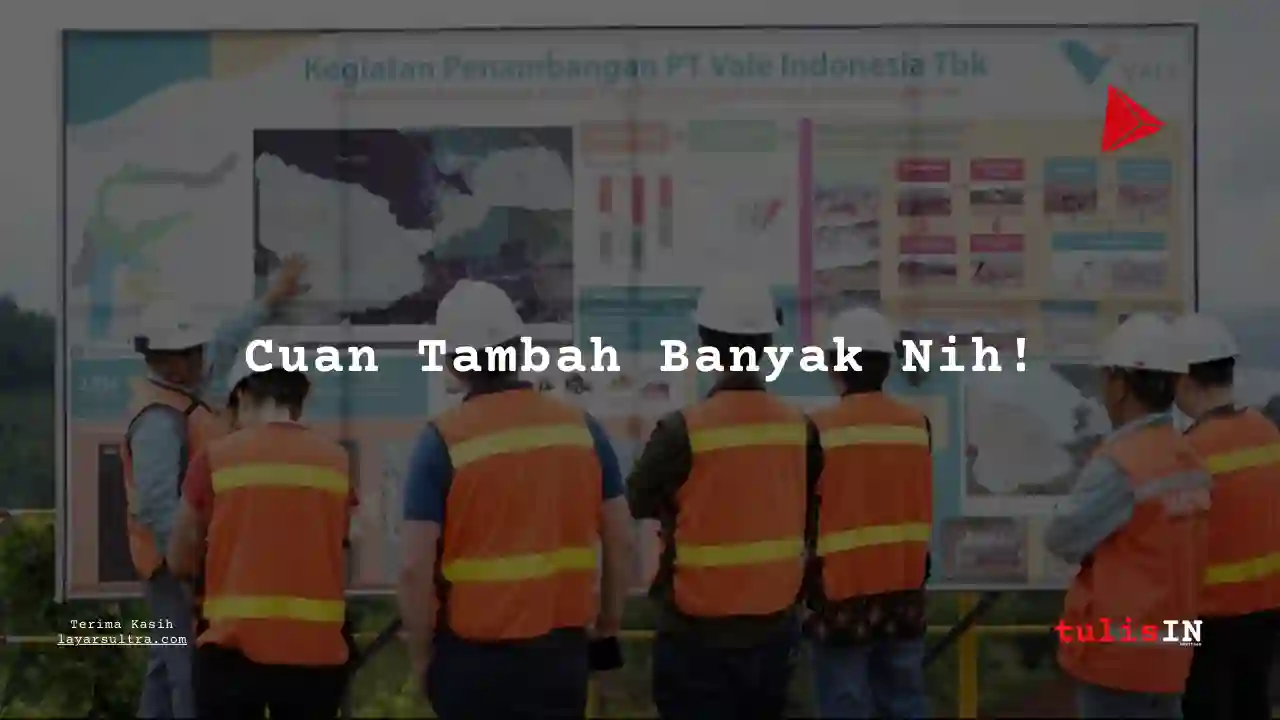 Berapa Gaji Team Leader Vale Indonesia 2025?