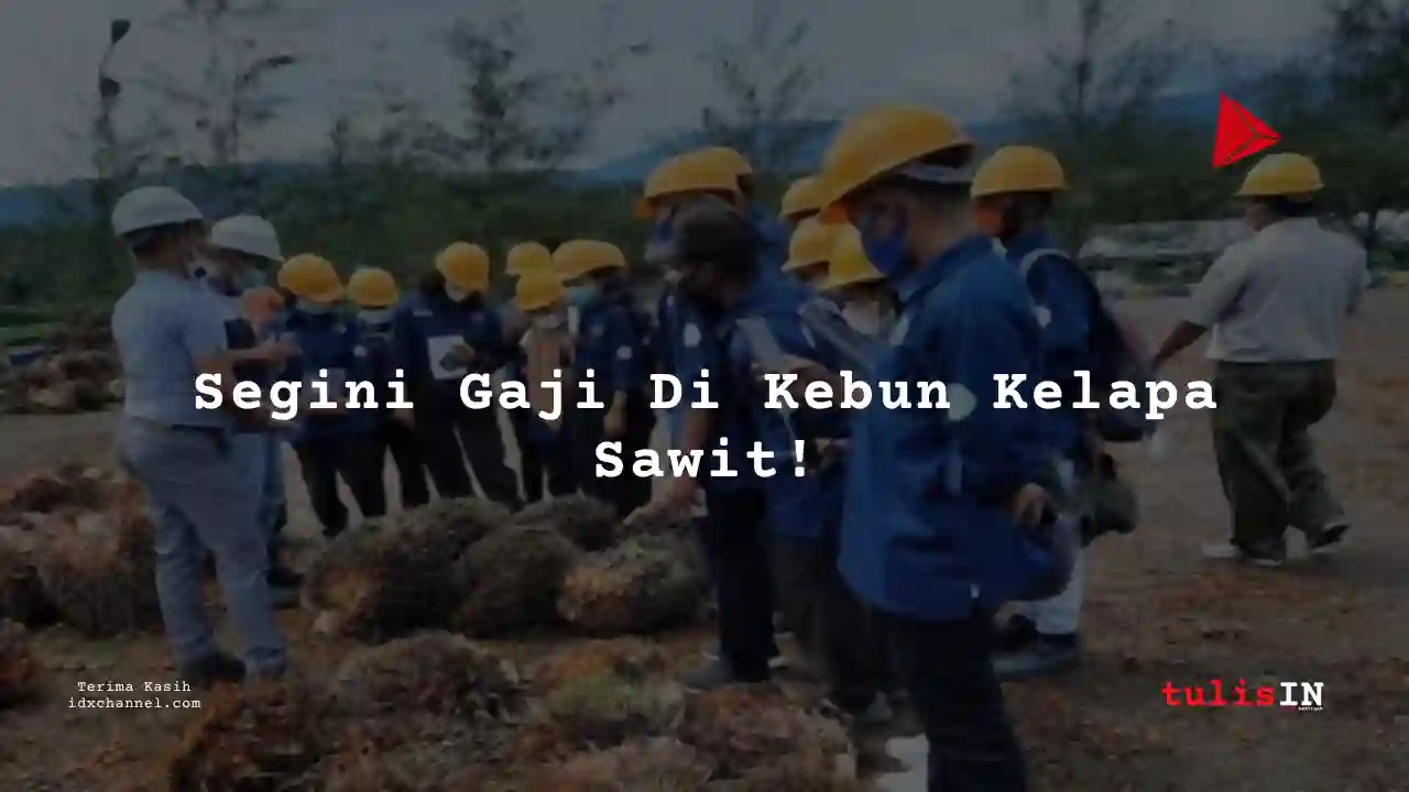 Berapa Gaji Mandor Perkebunan Kelapa Sawait 2025?