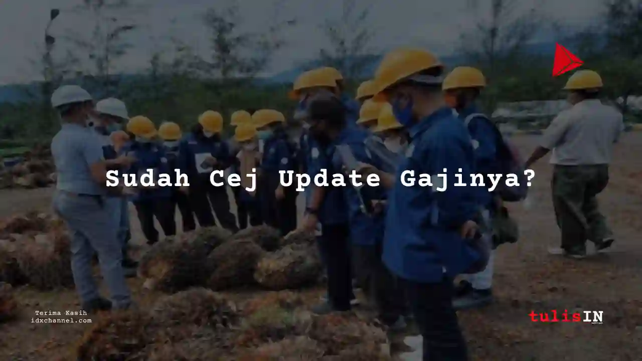 Berapa Gaji Pamuat Kelapa Sawit Perkebunan Kelapa Sawait 2025?