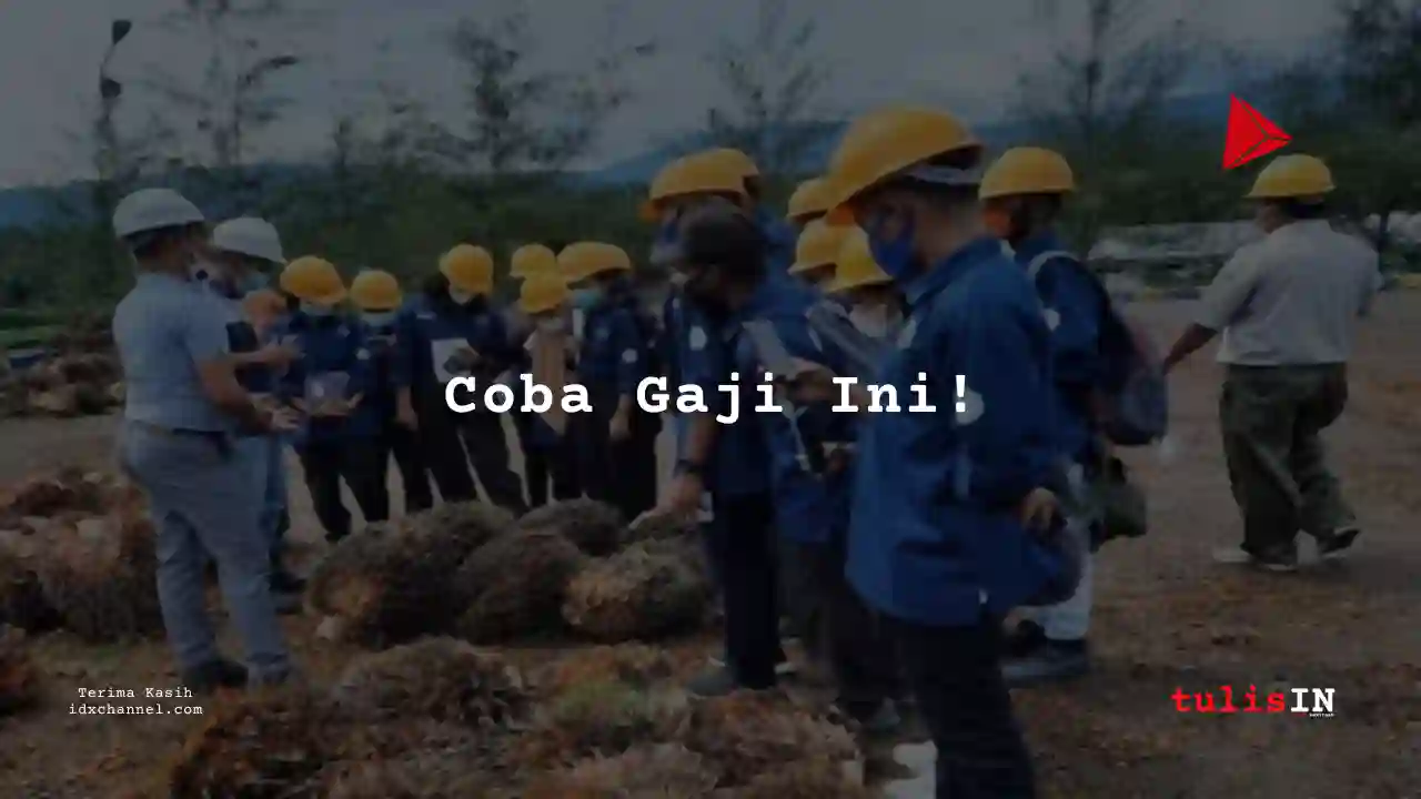 Berapa Gaji Pemanen Kelapa Sawit Perkebunan Kelapa Sawait 2025?