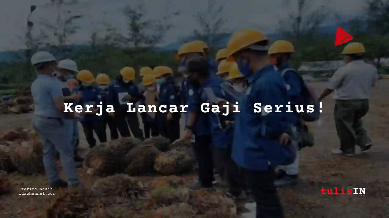 Berapa Gaji Pembersih Gulma Perkebunan Kelapa Sawait 2025?