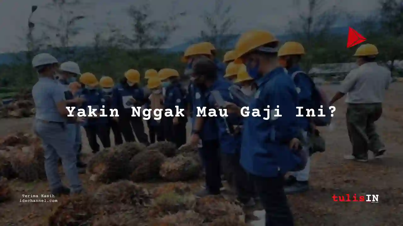 Berapa Gaji Pembuat Parit Kebun Perkebunan Kelapa Sawait 2025?