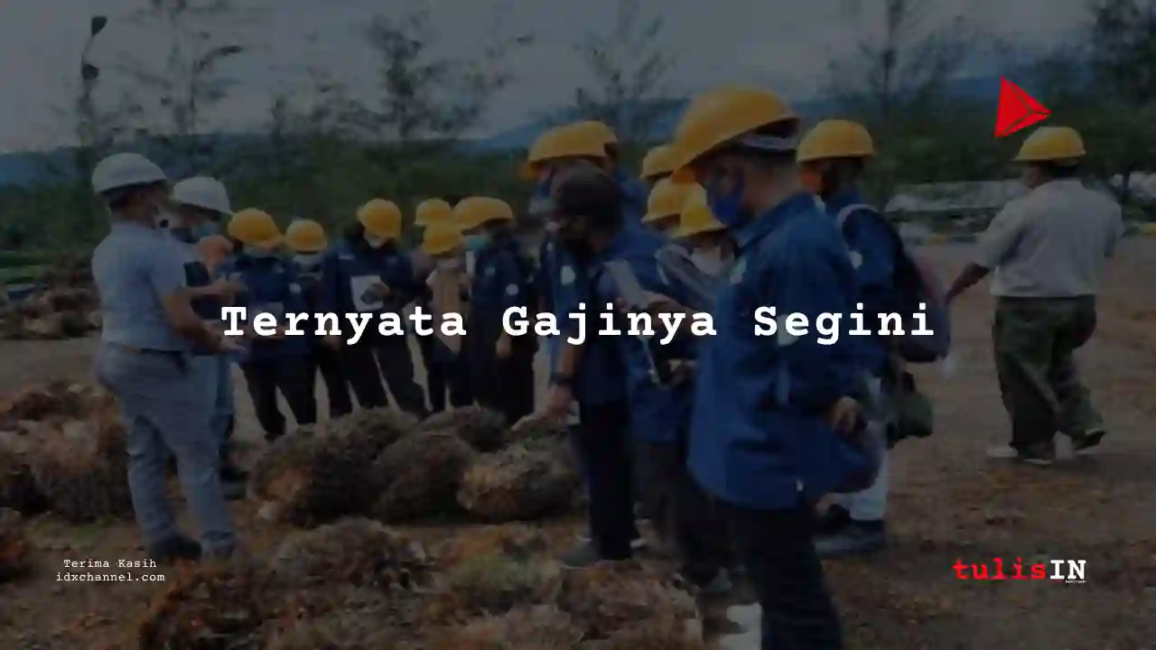 Berapa Gaji Perwatan Jalan Kebun Perkebunan Kelapa Sawait 2025?