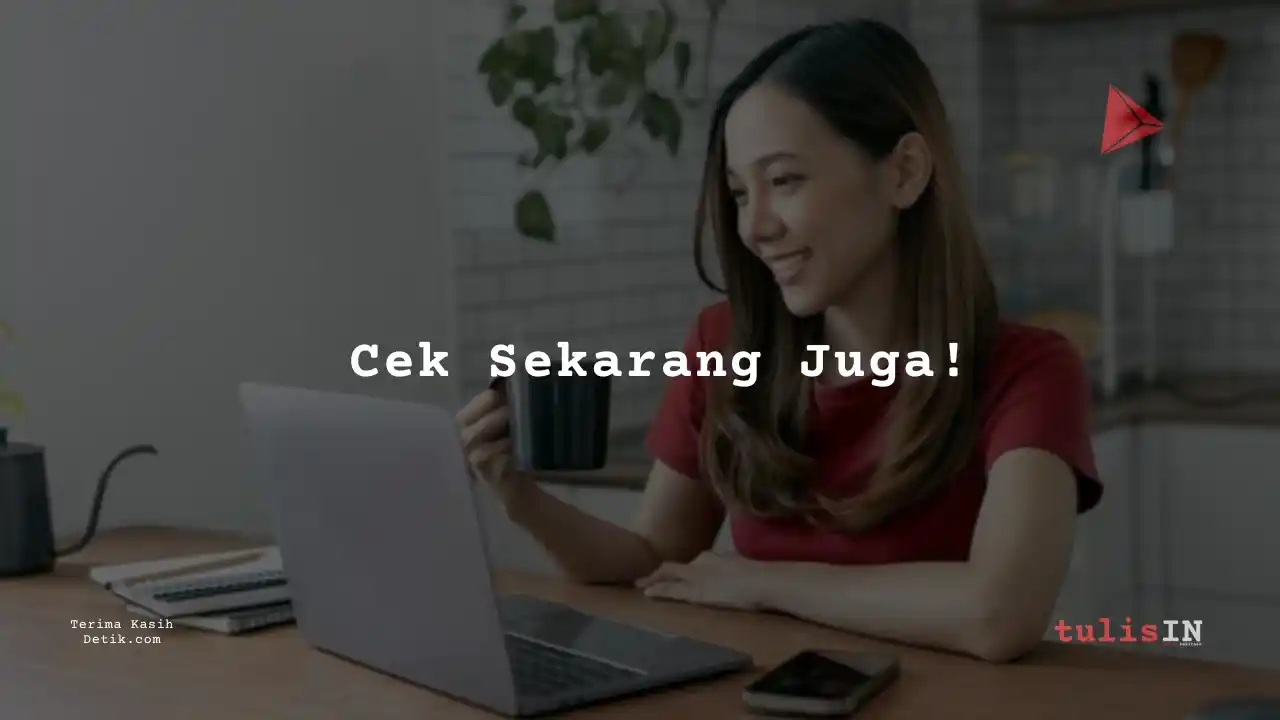 Berapa Gaji Accounting Officer Bank Raya Indonesia 2025?