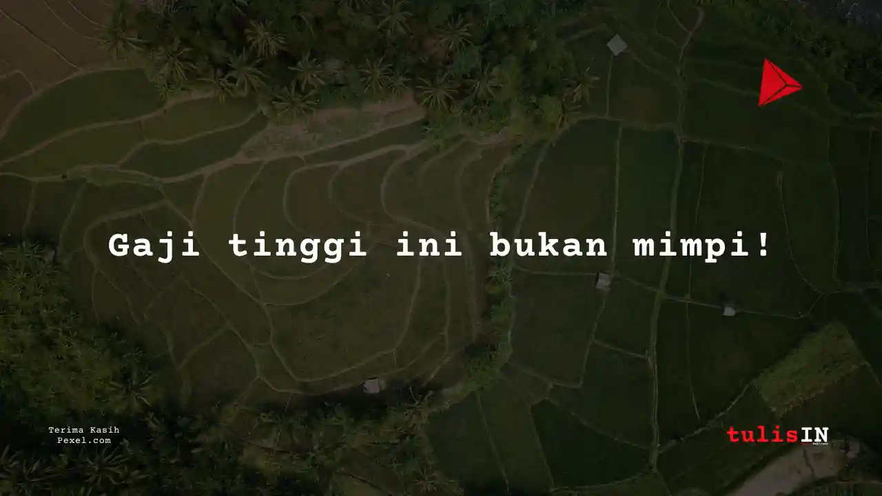 Berapa Gaji UMR Bangka Belitung?