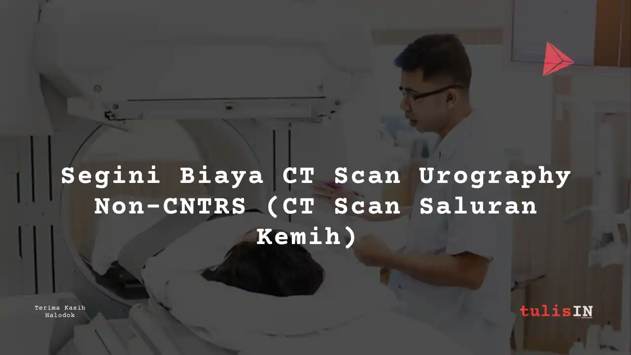 Berapa Harga X-Ray Long Leg?