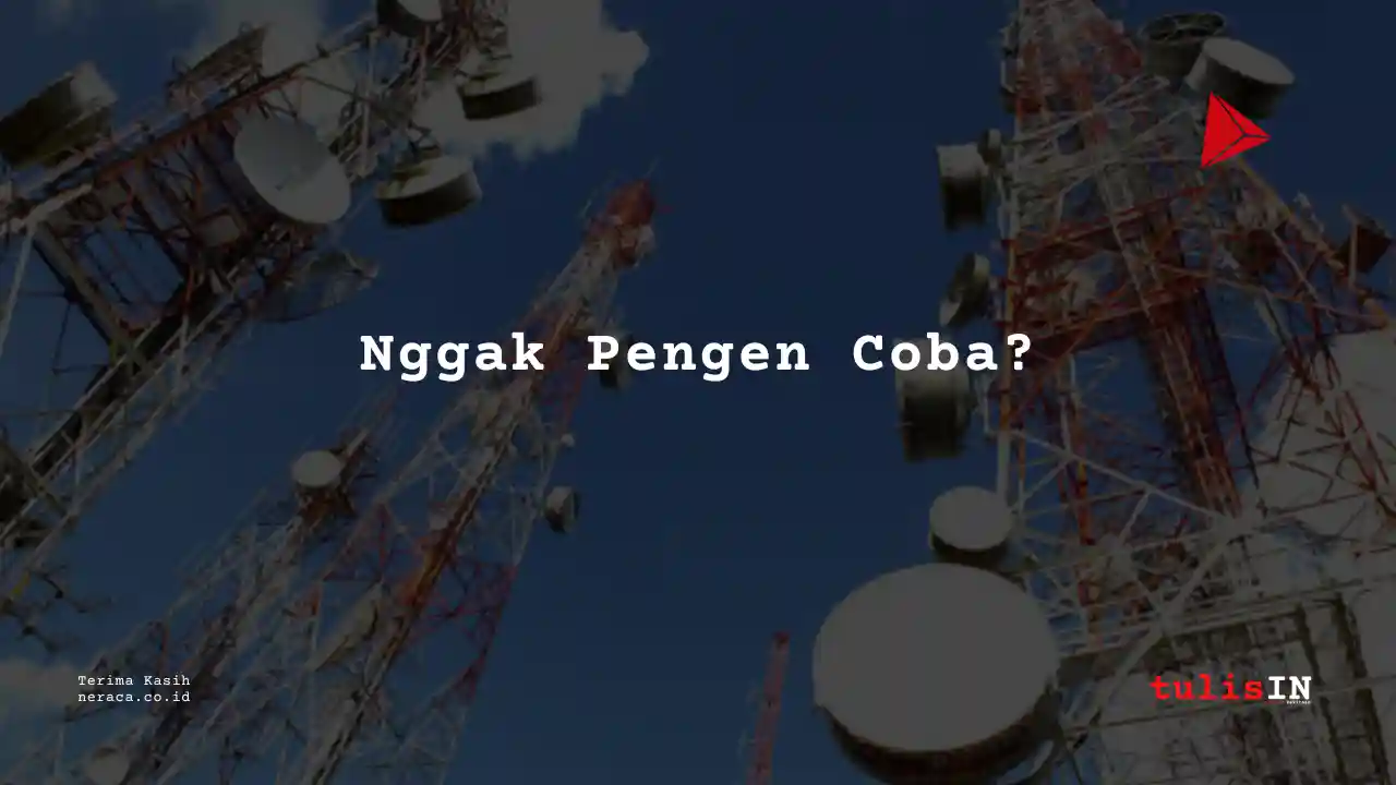 Berapa Gaji Developer Sarana Menara Nusantara 2023?