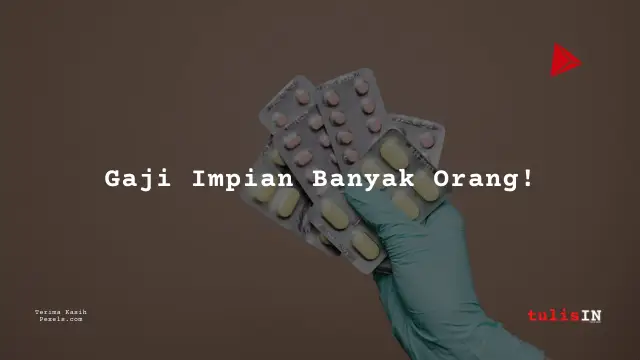 Berapa Gaji IT Developer PT SOHO Industri Farmasi 2024?