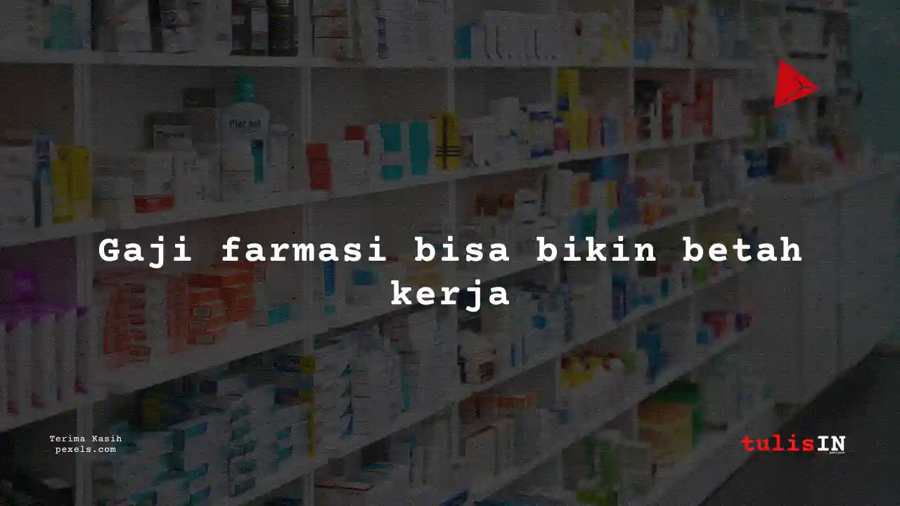Berapa Gaji IT/Internet K-24 2025?