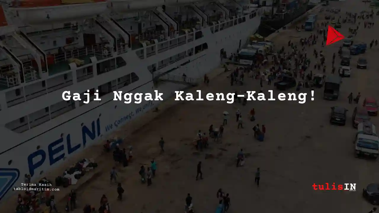 Berapa Gaji Junior Auditor PT Pelni 2024?