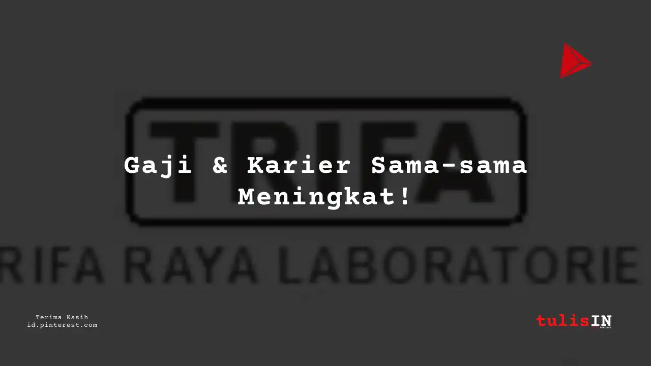 Berapa Gaji Junior Auditor PT Trifa Raya Laboratories Tahun 2024?