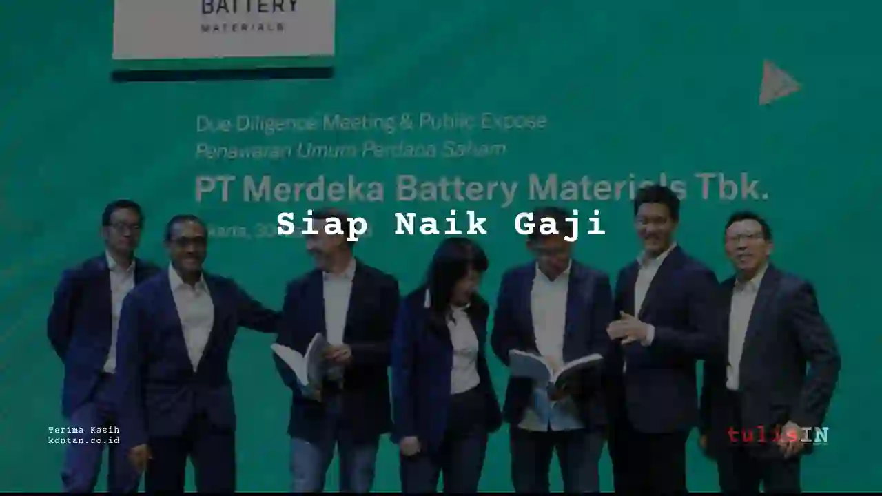 Berapa Gaji Regional Sales and Promotion Head Merdeka Battery Materials 2023?