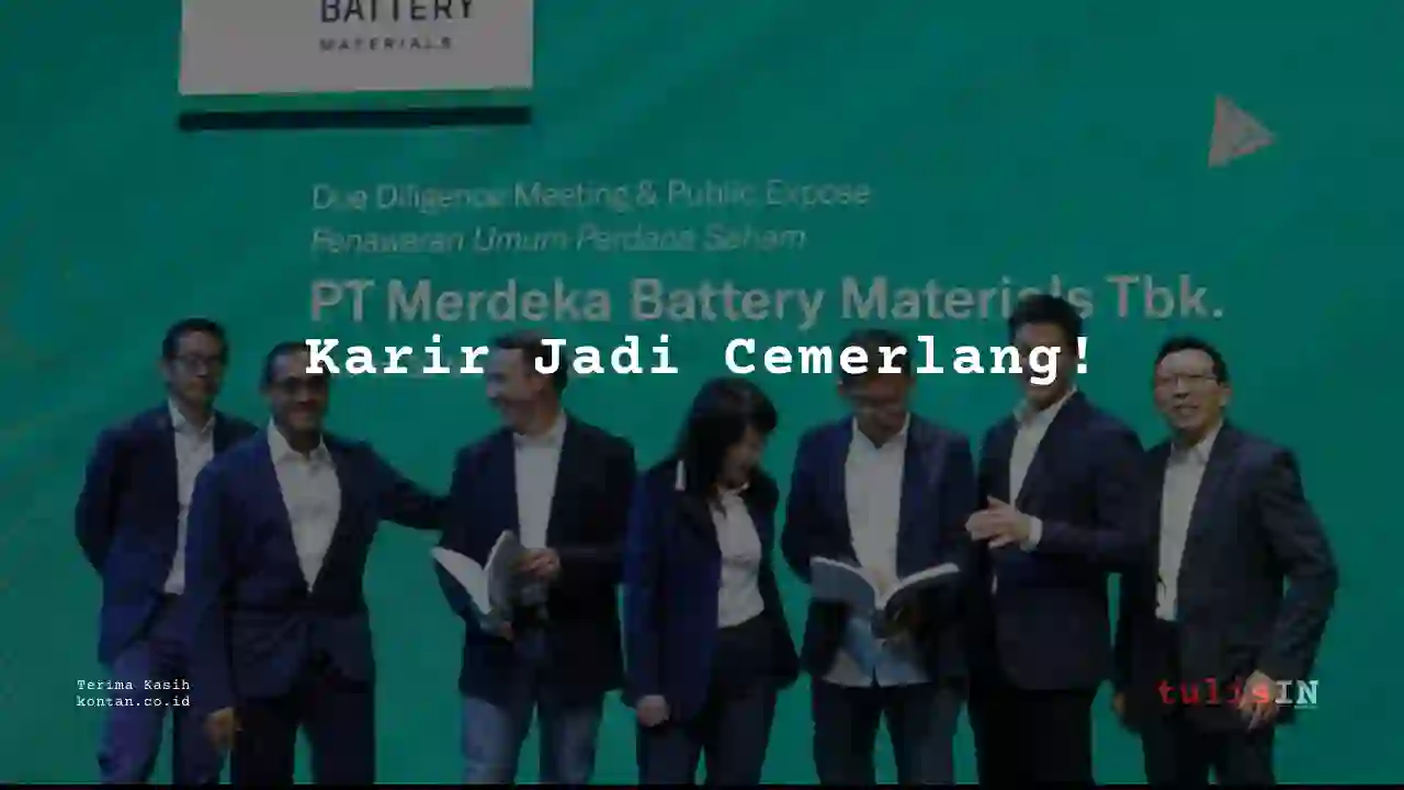 Berapa Gaji Regional Sales Manager Merdeka Battery Materials 2023?