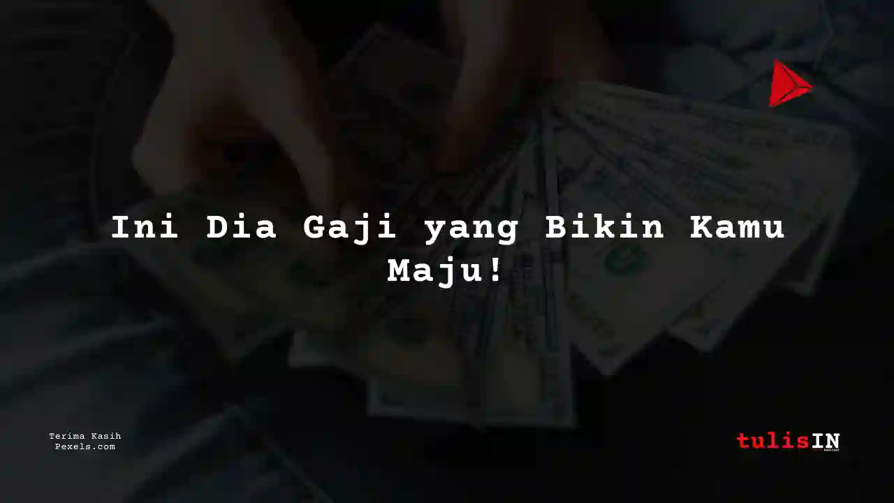 Berapa Gaji Software Developer Trans 7 2024?