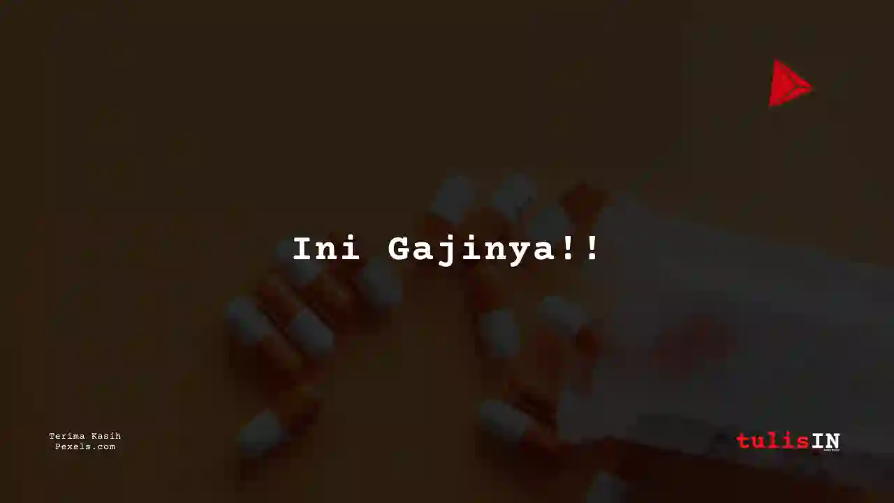 Berapa Gaji Staff Gudang (Warehouse) PT Gracia Pharmindo Tahun 2023?