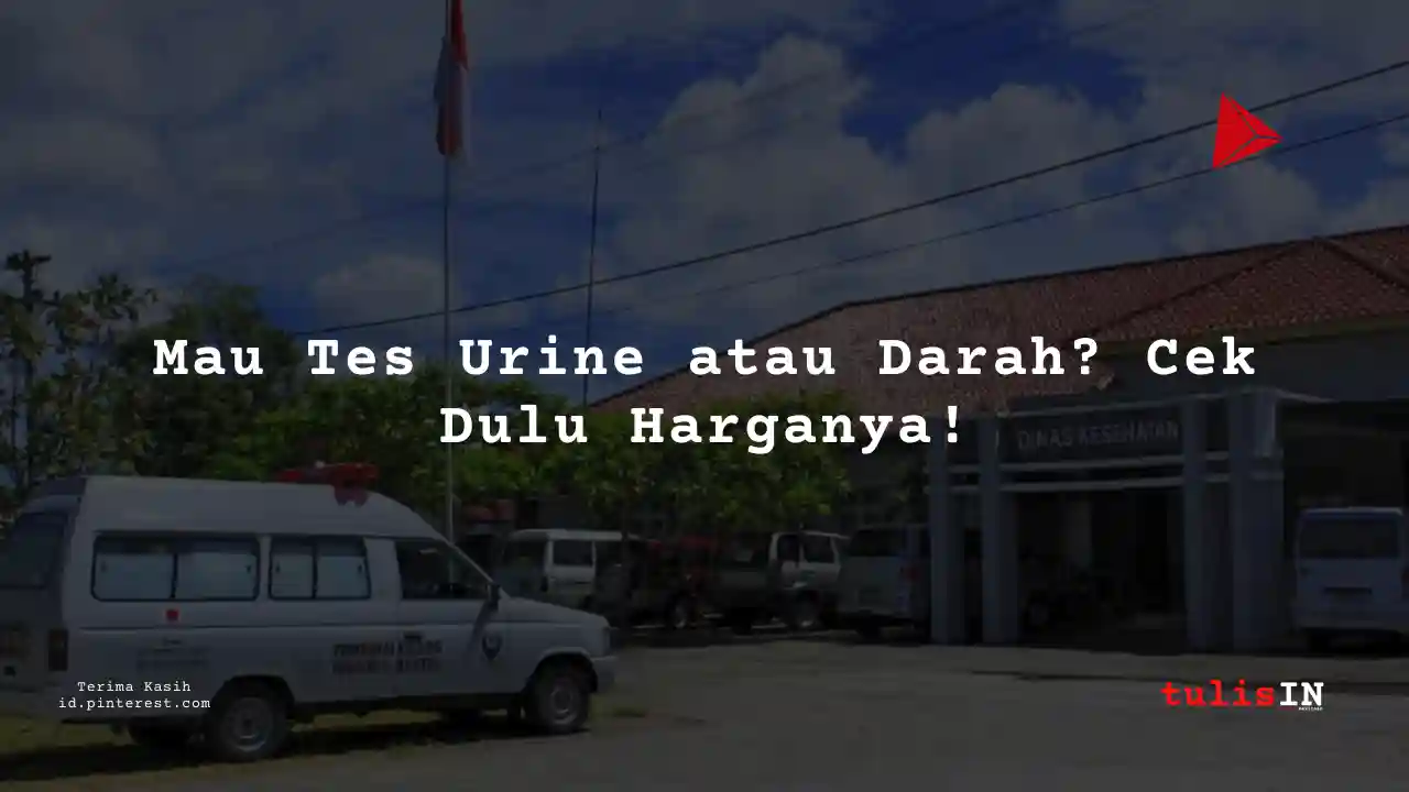 Berapa Harga Tes Kreatinin?