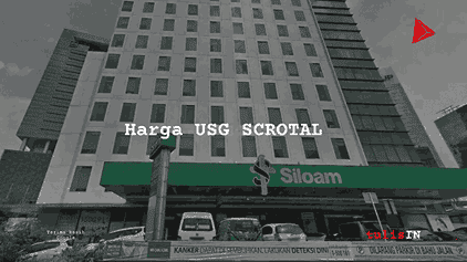 Berapa Harga USG SCROTAL?